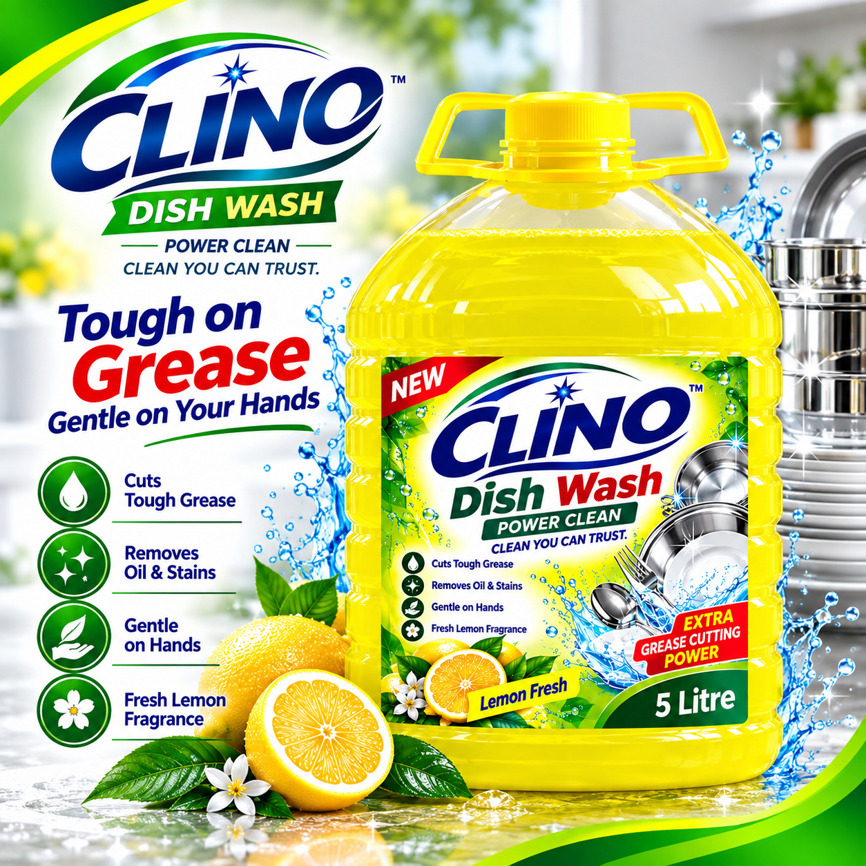 Dish Wash
